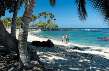 The Fairmont Orchid Hawaii