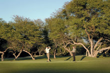 The Fairmont Orchid Hawaii