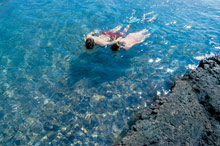 The Fairmont Orchid Hawaii