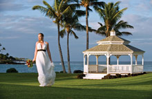 The Fairmont Orchid Hawaii