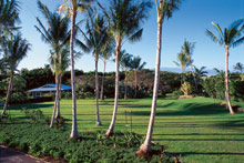 The Fairmont Orchid Hawaii