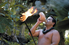 The Fairmont Orchid Hawaii