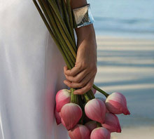 Four Seasons Resort Koh Samui