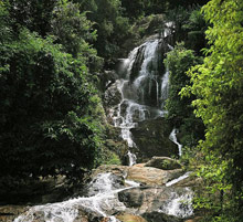 Four Seasons Resort Koh Samui