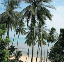 Four Seasons Resort Koh Samui