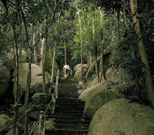 Four Seasons Resort Koh Samui