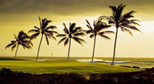 Hilton Waikoloa Village