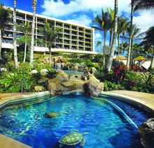 Turtle Bay Resort