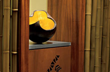 The Ritz Carlton Kapalua