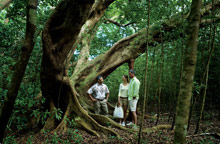 The Ritz Carlton Kapalua