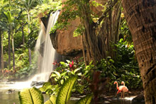 The Westin Maui Resort & Spa