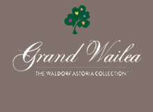 Grand Wailea Resort & Spa