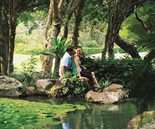 Four Seasons Resort Lana'i, The Lodge at Koele