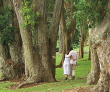Four Seasons Resort Lana'i, The Lodge at Koele