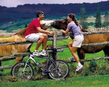 Four Seasons Resort Lana'i, The Lodge at Koele