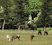 Four Seasons Resort Lana'i, The Lodge at Koele