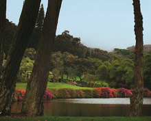 Four Seasons Resort Lana'i, The Lodge at Koele