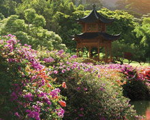 Four Seasons Resort Lana'i, The Lodge at Koele