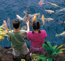 Four Seasons Resort Lanai at Manele Bay