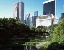 The Plaza Hotel New York