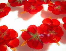 The St. Regis Princeville Resort