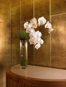 The St. Regis Princeville Resort