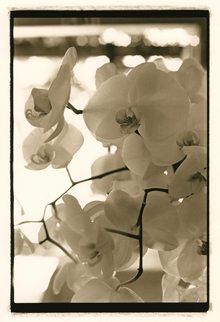 The St. Regis Princeville Resort