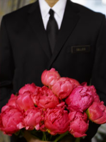 The Plaza Hotel New York