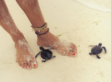 Kanuhura Maldives Hotel