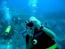 Temple Tree Resort & SPA