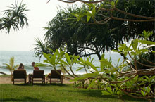 Temple Tree Resort & SPA