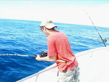 Temple Tree Resort & SPA