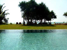 Temple Tree Resort & SPA