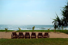 Temple Tree Resort & SPA