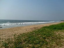 Temple Tree Resort & SPA