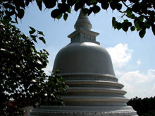 Temple Tree Resort & SPA