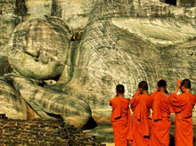 Temple Tree Resort & SPA