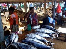 Temple Tree Resort & SPA