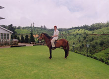 Heritance Tea Factory