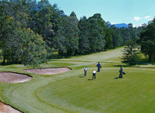 Heritance Tea Factory