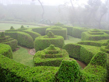 Heritance Tea Factory