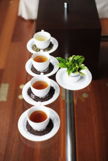 Heritance Tea Factory