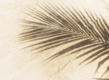 Kanuhura Maldives Hotel