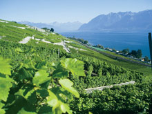 Fairmont Le Montreux Palace