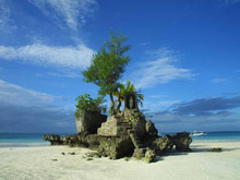 Waling-Waling Beach Hotel Boracay