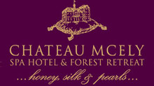 Chateau Mcely
