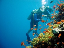 Sheraton Soma Bay Resort