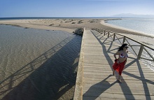 Sheraton Soma Bay Resort