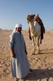 Sheraton Soma Bay Resort