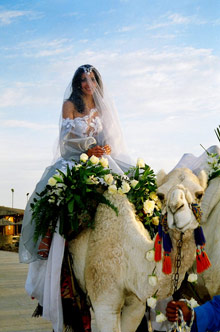 Sheraton Soma Bay Resort